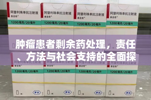 连云港肿瘤患者剩余药处理，责任、方法与社会支持的全面探讨