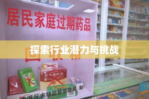 连云港探索行业潜力与挑战
