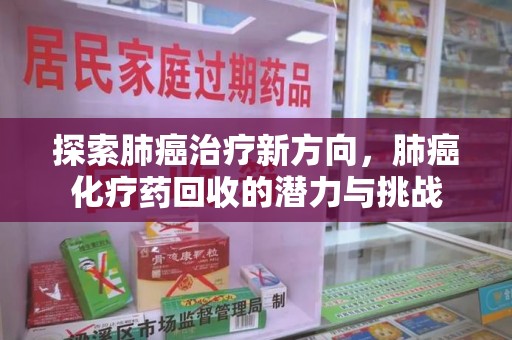连云港探索肺癌治疗新方向，肺癌化疗药回收的潜力与挑战