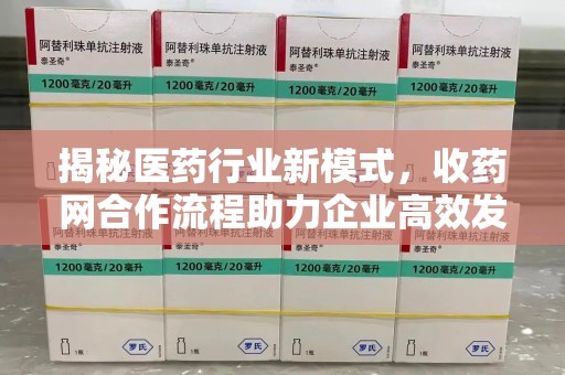 连云港揭秘医药行业新模式，收药网合作流程助力企业高效发展